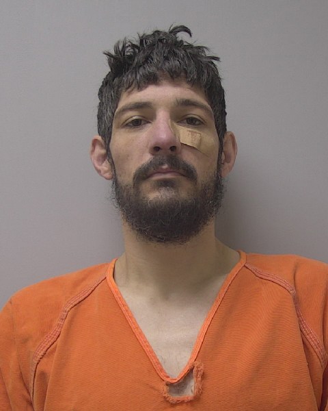Mugshot of DILLON RAY WILLIAMS