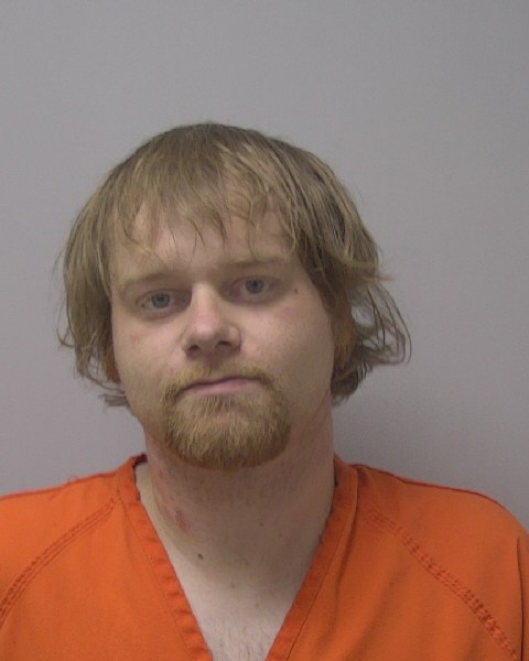 Mugshot of LOGAN ALLEN NELSON