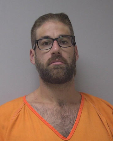 Mugshot of IAN DONALD REESE
