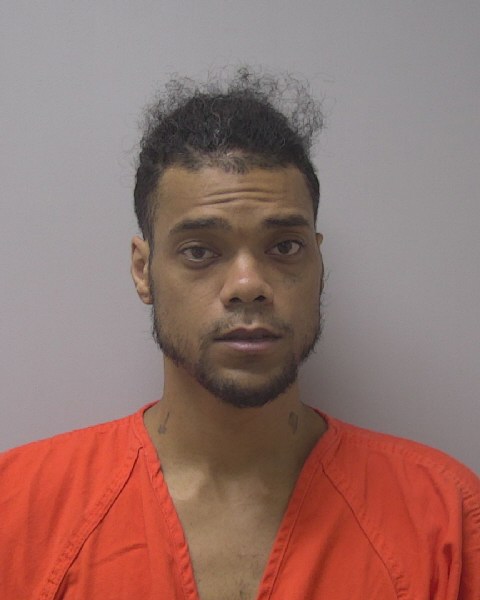Mugshot of DIMITRI ANDREAS WALTERS