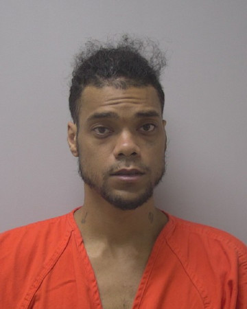 Mugshot of DIMITRI ANDREAS WALTERS