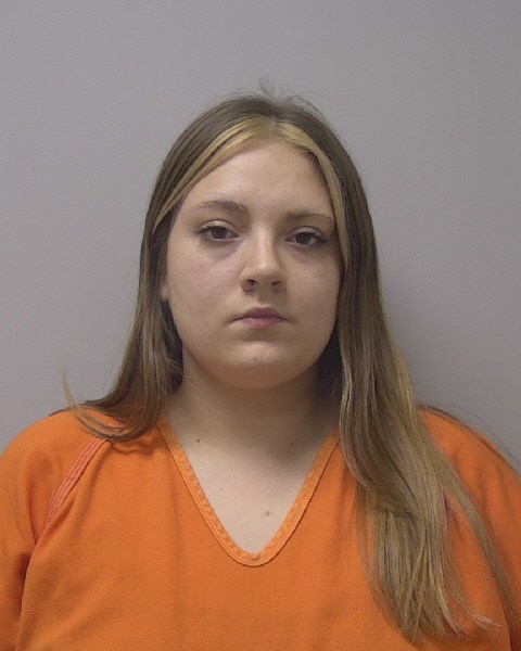 Mugshot of ADRIANNA LAUREN HAMSING
