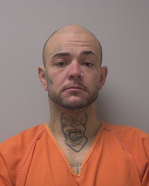 Mugshot of RONNY ALAN COPELAND