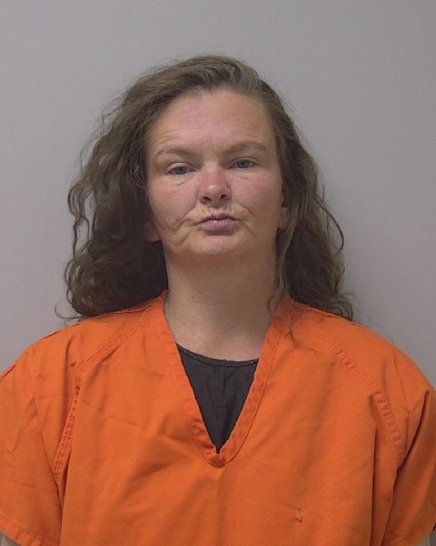 Mugshot of JESSIE LOU BONKE