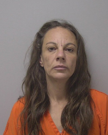 Mugshot of JENNY LYNN PORATH