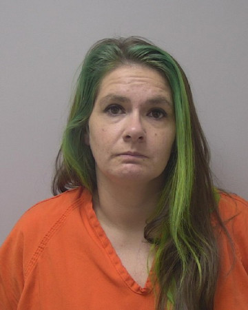 Mugshot of TYLYNN SHANTEL JANKOVIC