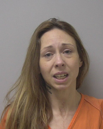 Mugshot of DEVIN NICOLE STANTON