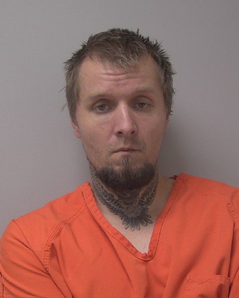 Mugshot of DAVID ARTYOM HOCKSTRA