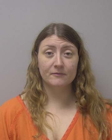 Mugshot of MICHELLE ANNE IMIG