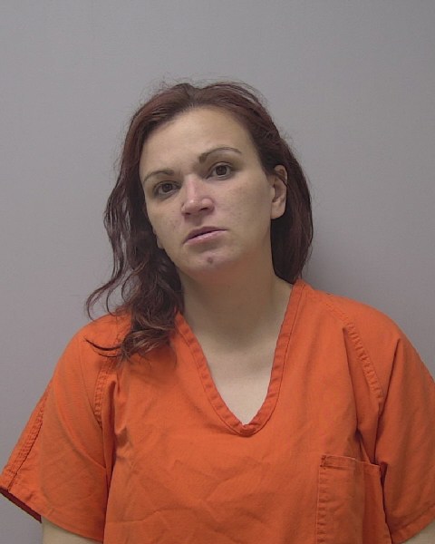 Mugshot of AMANDA LEE PETROSKI