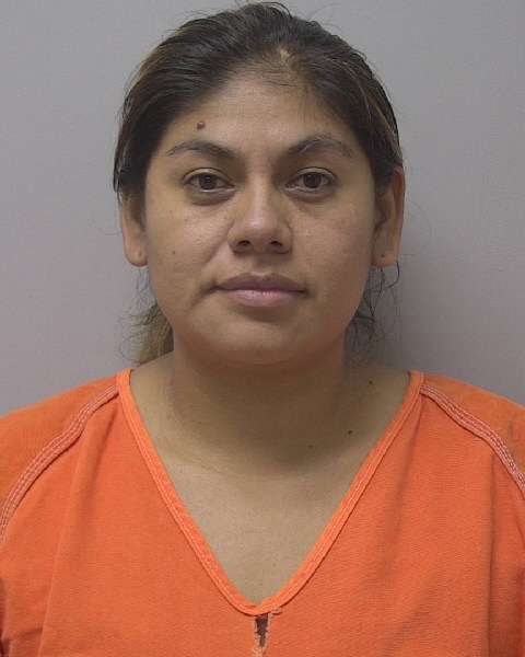 Mugshot of ASCENCION FILGUERA-OCAMPO