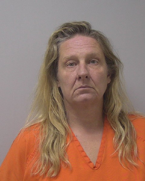Mugshot of TERA LEE BRANDT