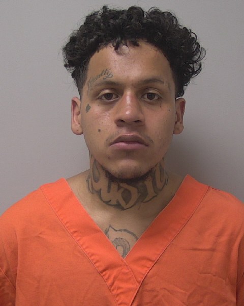 Mugshot of APOLONIO VASQUEZ