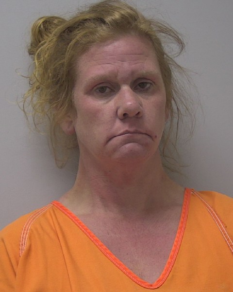 Mugshot of SHELLEY JO HALLETT