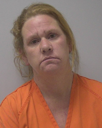 Mugshot of SHELLEY JO HALLETT
