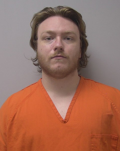 Mugshot of BRIAN JAMES LEWIS