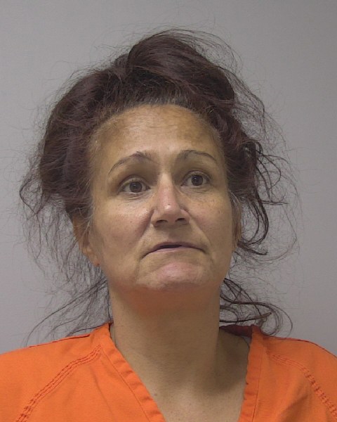 Mugshot of NICOLE MARIE KREGER