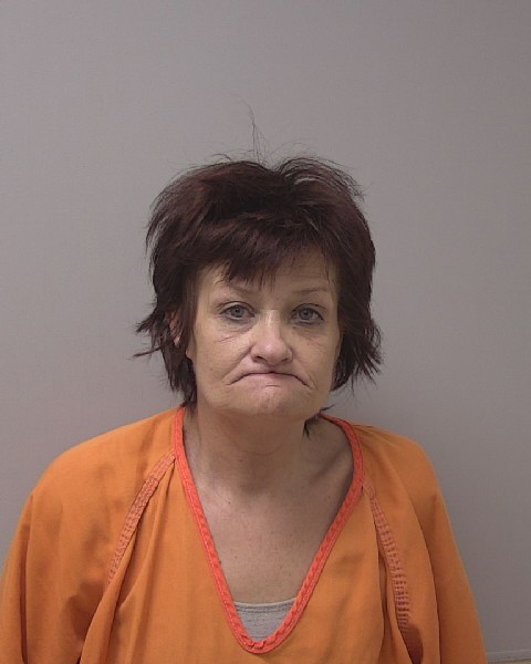Mugshot of DIANE LOUISE FERRELL