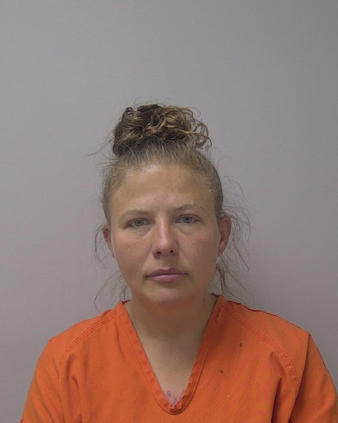 Mugshot of REBECCA KAYE FRANCES HOLLMAN