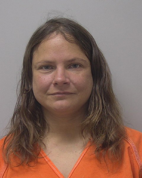 Mugshot of DAWN SHERRI HOCKINGS