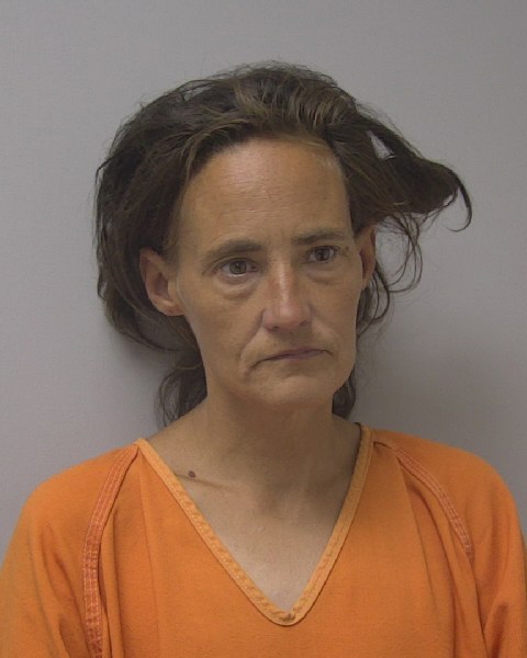 Mugshot of OLAF LEE ERICSON