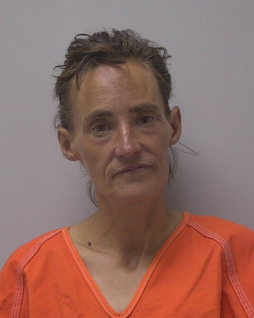 Mugshot of OLAF LEE ERICSON