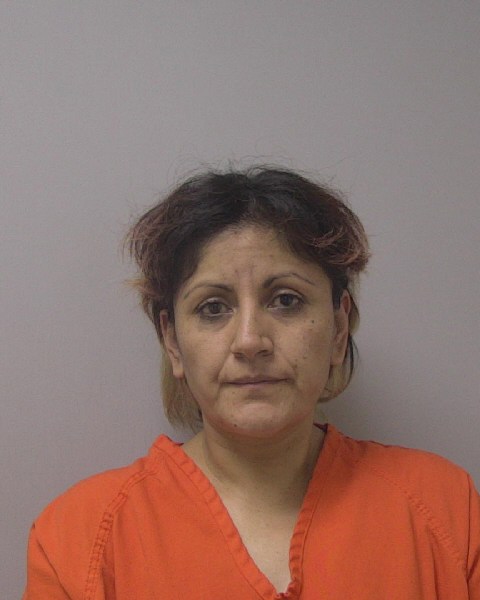 Mugshot of SILVIA MARISOL MONCEL