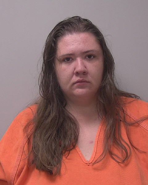 Mugshot of SABRINA ANN ROZMARYNOWSKI