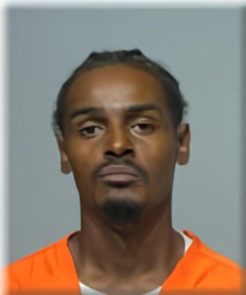 Mugshot of Brenton Davis