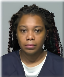 Mugshot of Tierra Houlston