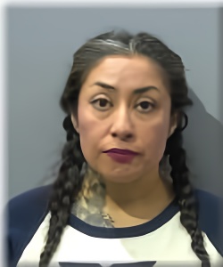 Mugshot of MIREYDA HERNANDEZ