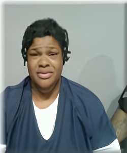 Mugshot of Danielle Nimox