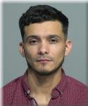Mugshot of Cristian Castro-Gonzalez