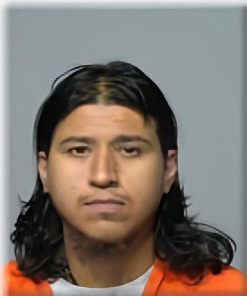 Mugshot of TREVINO GALLEGOS