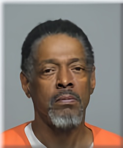 Mugshot of Tracy Anderson