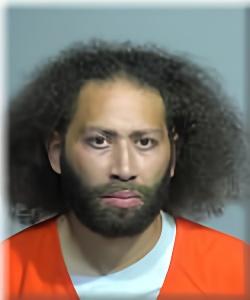 Mugshot of Travis Williams
