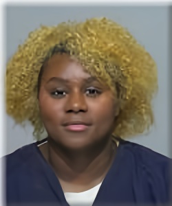 Mugshot of Jenee Stroyier