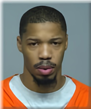 Mugshot of Mikell Johnson