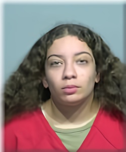 Mugshot of Alyssa Mier