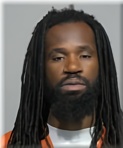 Mugshot of David McGee