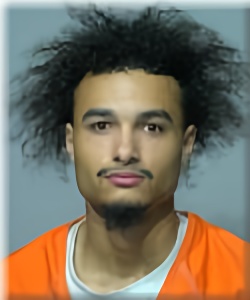 Mugshot of Marvin Seals