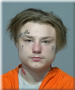 Mugshot of Grayson Cornehls