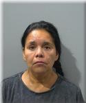 Mugshot of Viviana Guzman-llancaleo