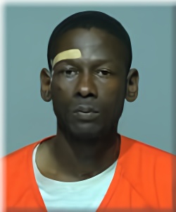 Mugshot of Anthony Anderson