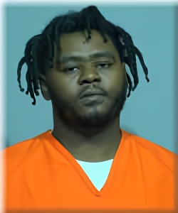 Mugshot of Ronald Skys