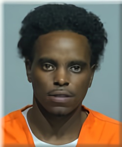 Mugshot of Denny Williams