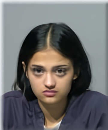 Mugshot of Frency Gandhi