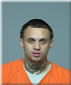 Mugshot of Lavontae Williams