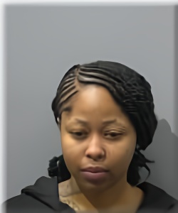 Mugshot of Shaniya Evans