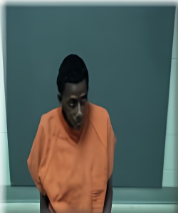 Mugshot of Regina Shelton
